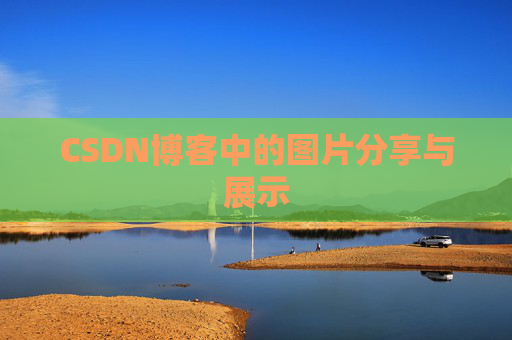 CSDN博客中的图片分享与展示